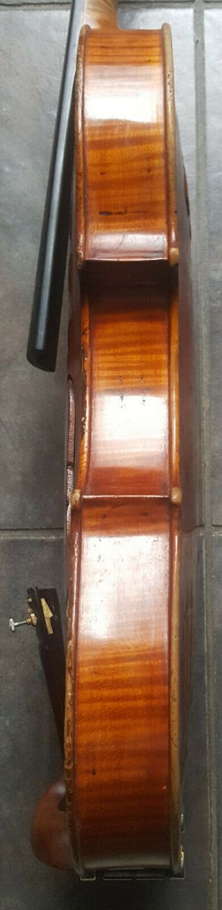 Antique 1800s Head Fiddle Gaspard Duiffoprugcar Carving Rare Violin Carved Back 10