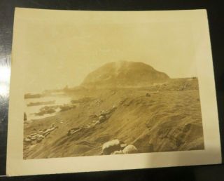 Rare Ww2 Iwo Jima Photo Of Marines Dug In On The Beach At Mt Suribachi