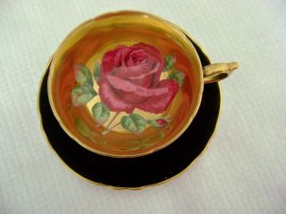 Vintage Paragon Dark Pink Cabbage Rose Footed Cup & Saucer Gold Background