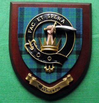 Vintage Old Scottish Carved Clan Matheson Mathieson Tartan Plaque Crest Shield X