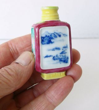 Old Signed Chinese Hand - Painted Porcelain Snuff Bottle Possibly Antique No Resrv
