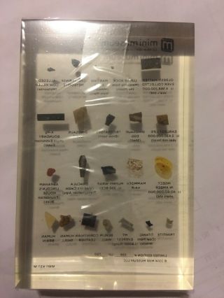 Mini Museum 1st Limited Edition FEX KICKSTARTER - MEDIUM - 22 Specimens /700 RARE 6