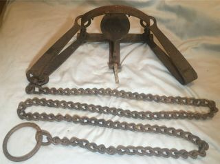 Antique 48 Newhouse Steel Trap - Long Factory Chain Model; With Teeth