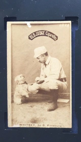 Rare Variation Pittsburg W/dog 1887 N172 Old Judge Art Whitney - Bold Photo
