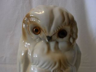 Large Vintage German Porcelain Perfume Lamp Night Light Snow Owl ^ 2