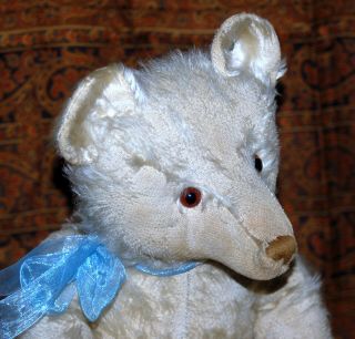 GORGEOUS ANTIQUE WHITE MOHAIR STEIFF TEDDY BEAR 20 INCHES FF BUTTON 1905 7