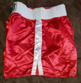 Everlast Skinners Polyester Satin Shiny Vintage USA Boxing Trunks Shorts Large 2