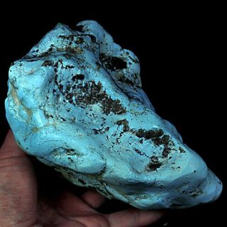 4210ct 100 Natural Brain Turquoise Nugget Intact Specimen Yscg33