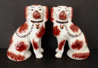 Vintage Staffordshire Russet & White Spaniel Dogs Signed Kent 6.  75 " Tall