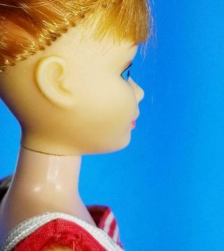 VERY RARE Re - Issue Titian Skipper Doll 950 MINTY VHTF Vintage 1960 ' s 12