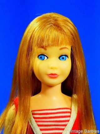 Very Rare Re - Issue Titian Skipper Doll 950 Minty Vhtf Vintage 1960 