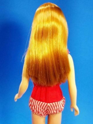 VERY RARE Re - Issue Titian Skipper Doll 950 MINTY VHTF Vintage 1960 ' s 5
