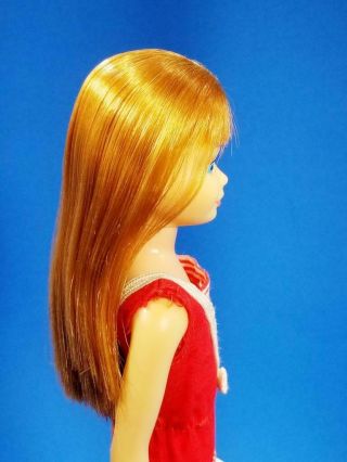 VERY RARE Re - Issue Titian Skipper Doll 950 MINTY VHTF Vintage 1960 ' s 8