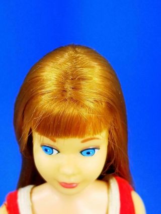 VERY RARE Re - Issue Titian Skipper Doll 950 MINTY VHTF Vintage 1960 ' s 9