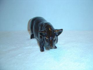 Antique Stoneware Pig Red Wing or Monmouth 3