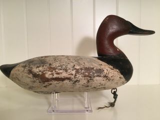 Jim Currier High Head Canvasback Drake Duck Decoy Havre De Grace MD 2