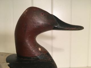 Jim Currier High Head Canvasback Drake Duck Decoy Havre De Grace MD 3