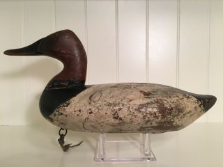 Jim Currier High Head Canvasback Drake Duck Decoy Havre De Grace MD 6
