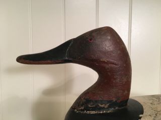 Jim Currier High Head Canvasback Drake Duck Decoy Havre De Grace MD 7