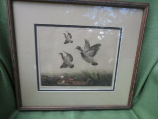 Vintage Dell Weller Signed Limited Edition 6/150 Quail Etching Art Print