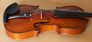 Very old labelled Vintage violin 