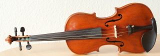 Very Old Labelled Vintage Violin " E Tom Carcassi " Fiddle 小提琴 ヴァイオリン Geige