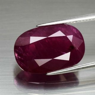 Certificate Inc.  Huge Rare 14.  45ct 17.  6x11.  8mm Oval Natural Unheated Red Ruby