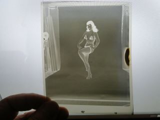 Vintage Erotic Pinup Camera Club 1955 Bettie Page Transparency/negative