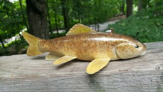 Competition Sucker Fish Decoy Carved by Brian Shallbetter - Spearing Lure 4