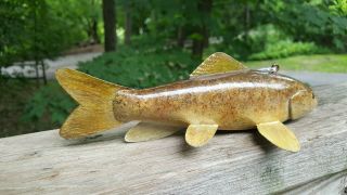 Competition Sucker Fish Decoy Carved by Brian Shallbetter - Spearing Lure 5