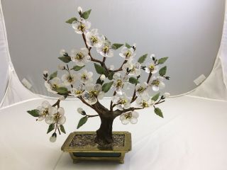 Vintage Asian Cherry Blossom Bonsai Tree