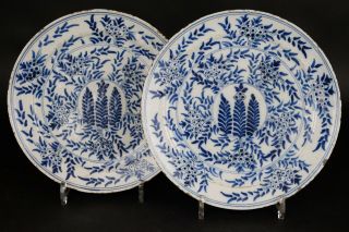 Pair Dutch Delft 18th Century Blue And White Pancake Plates,  26 Cm / 10.  4in
