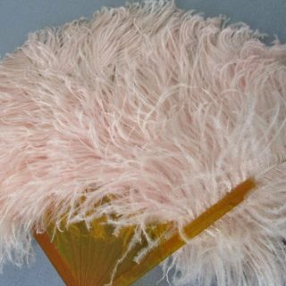 Antique Petite Pink Ostrich Feather Fan Butterscotch Celluloid Sticks W Orig Box