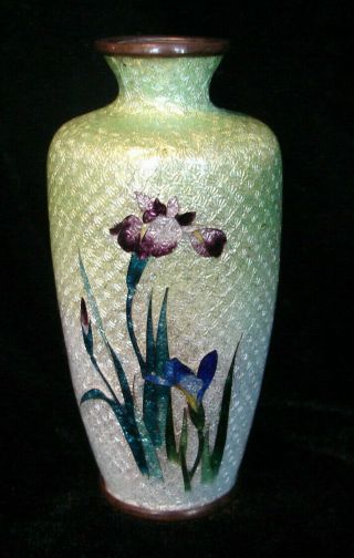 Antique Japanese Cloisonne Enamel 3 1/2 " Miniature Vase,  Foil Background