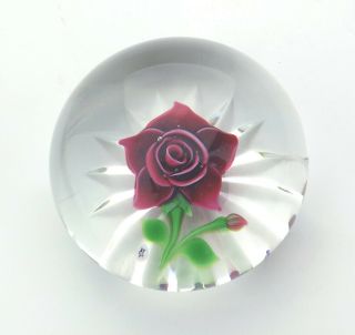 Vintage Baccarat Glass - Rose Fond Etoile - Lampwork Paperweight - 3