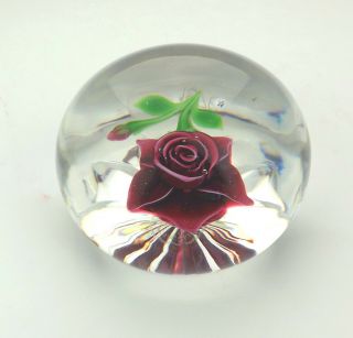 Vintage Baccarat Glass - Rose Fond Etoile - Lampwork Paperweight - 5