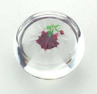 Vintage Baccarat Glass - Rose Fond Etoile - Lampwork Paperweight - 8