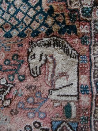 X Large Handmade Handknotted Afghan WOOL Rug Shindand Adraskand Herati Hand dyed 3