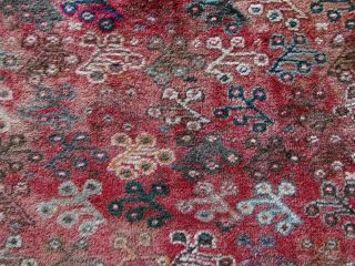 X Large Handmade Handknotted Afghan WOOL Rug Shindand Adraskand Herati Hand dyed 8