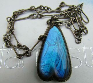 Art Nouveau Iridescent Blue Heart Shaped Butterfly Wing 925 Silver Pendant Chain