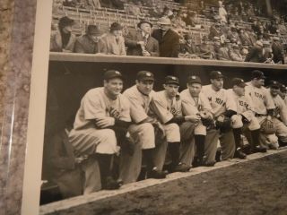 Rare Type 1 Yankee team photo from 1936 WS (Lou Gehrig,  Joe Dimaggio) 2