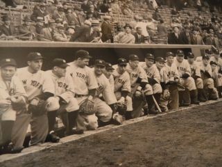 Rare Type 1 Yankee team photo from 1936 WS (Lou Gehrig,  Joe Dimaggio) 3