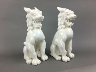 Vintage Chinese Blanc De Chine Porcelain Guardian Temple Foo Lion Dog Sculptures