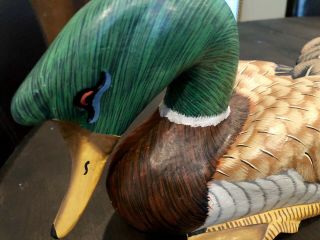 Stunning 12” Vintage Wood Hand Painted Duck Decoy 2