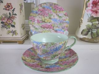 Stunning Vintage Shelley Rock Garden Fine Bone China Trio