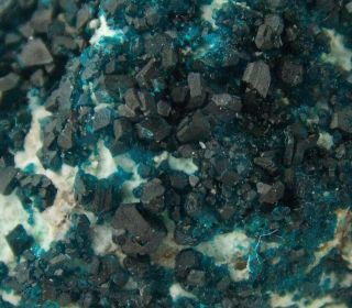 Rare Spangolite Crystals - 4 Cm - Bisbee,  Arizona 22467