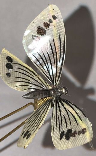 Rare Antique Victorian Celluloid Butterfly Trembler Hair Pin Hat Pin