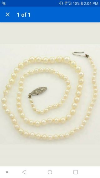 Vtg Graduated Cream Cultured Akoya Pearl Strand Necklace 14k White Gold Clasp