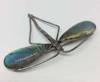 Art Nouveau Silver Butterfly Wing Figural Dragonfly Brooch Thomas L Mott