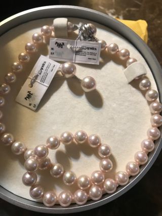 Vintage Majorica Pearl Necklace And Earrings.  Set With Tags